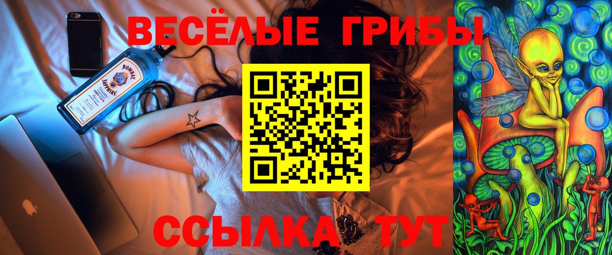 Галлюциногенные грибы Psilocybe Валуйки